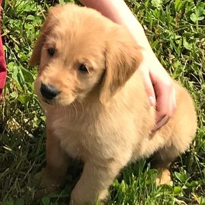 Meet your Posher, Robyn